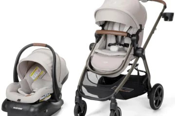 Featured Best Nuna Car Seat For Newborn