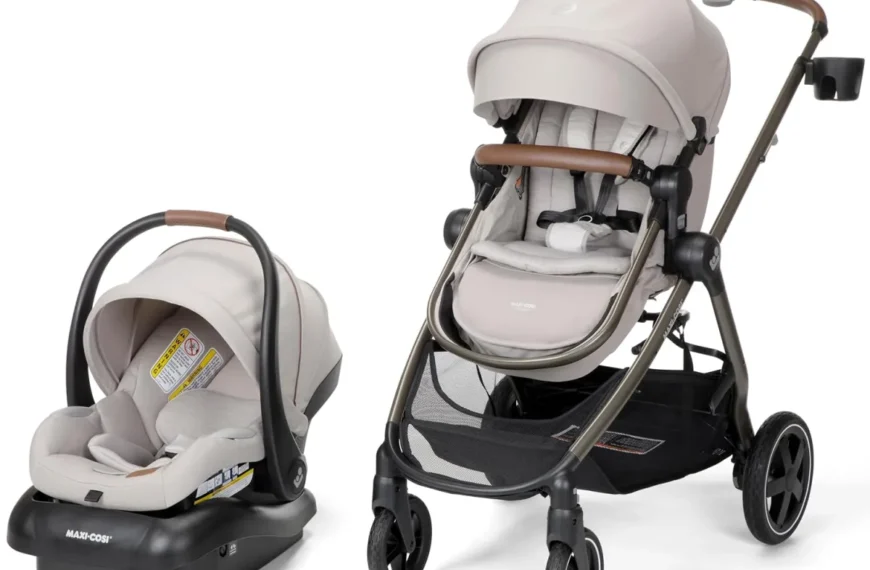 Featured Best Nuna Car Seat For Newborn